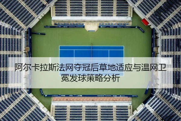 a-er-ka-la-si-fa-wang-duo-guan-hou-cao-di-shi-ying-yu-wen-wang-wei-mian-fa-qiu-ce-lve-fen-xi-2-810.jpg