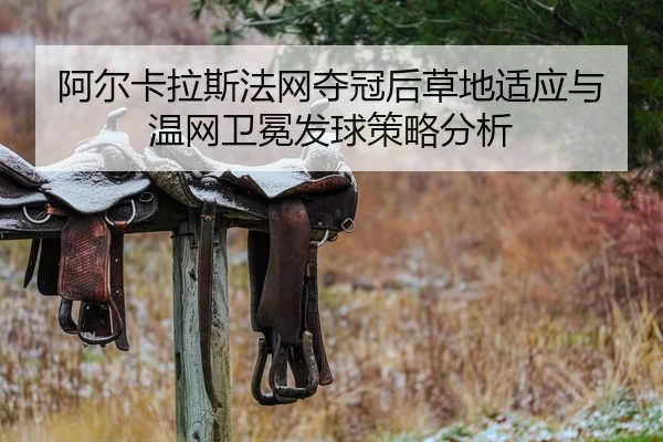 a-er-ka-la-si-fa-wang-duo-guan-hou-cao-di-shi-ying-yu-wen-wang-wei-mian-fa-qiu-ce-lve-fen-xi-3-957.jpg