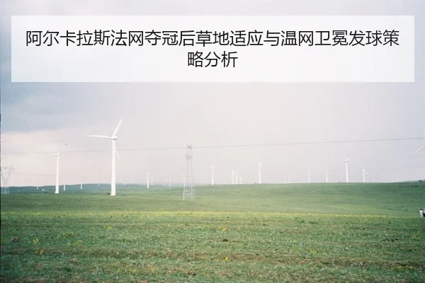 阿尔卡拉斯法网夺冠后草地适应与温网卫冕发球策略分析