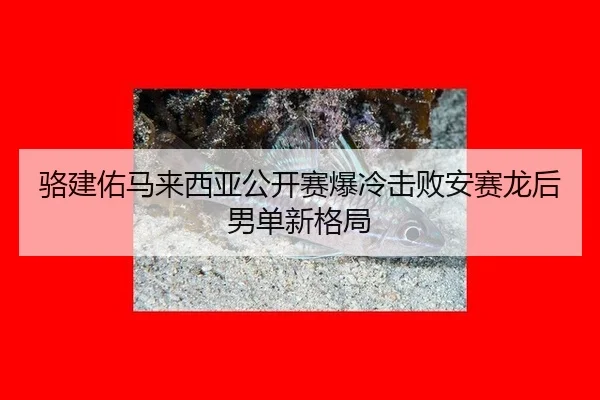 luo-jian-you-ma-lai-xi-ya-gong-kai-sai-bao-leng-ji-bai-an-sai-long-hou-nan-dan-xin-ge-ju-2-230.jpg